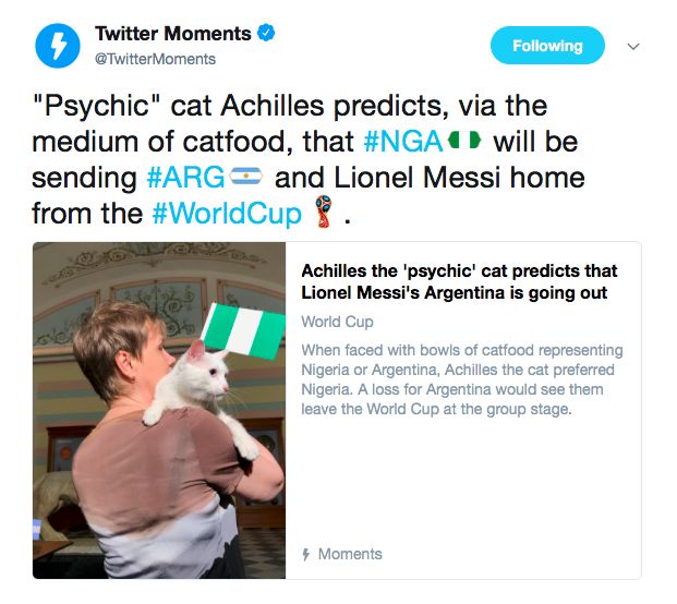 Image result for cat predicts nigeria will win argentina