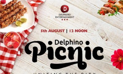 Delphino picnic banner