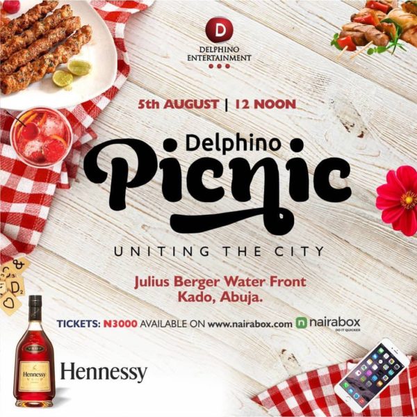 Delphino picnic banner