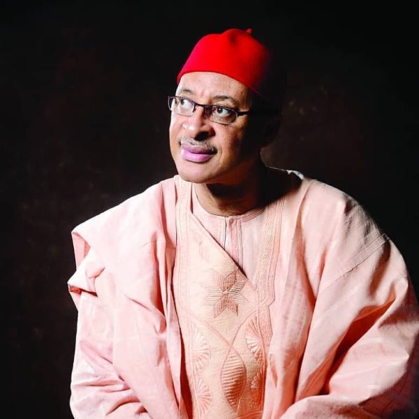 Pat Utomi wins Delta State APC Primaries | BellaNaija