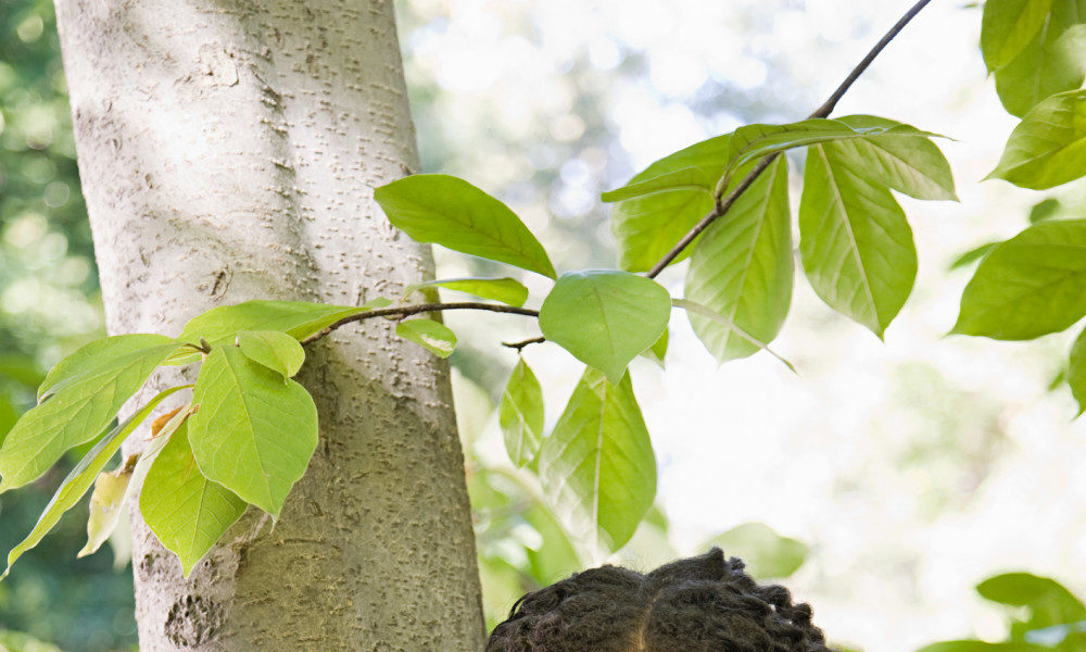 Adefolake Adekola The Environmental & Health Effects of Bush Burning