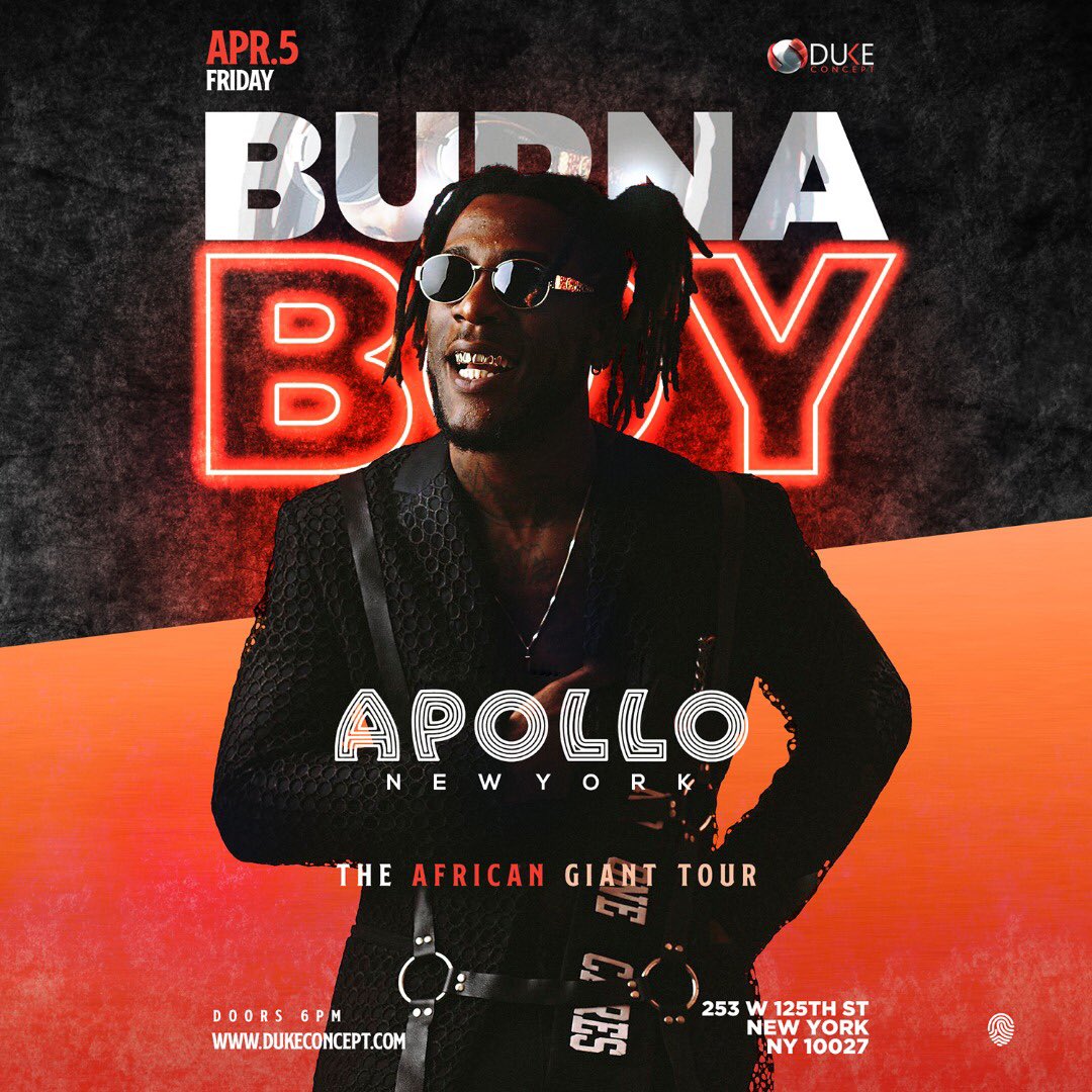 burna boy tour