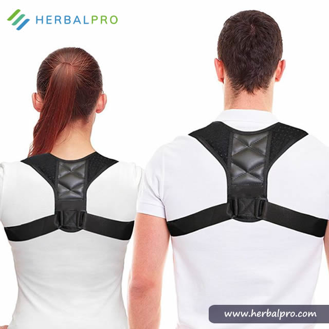 Herbal Pro’s Posture Corrector