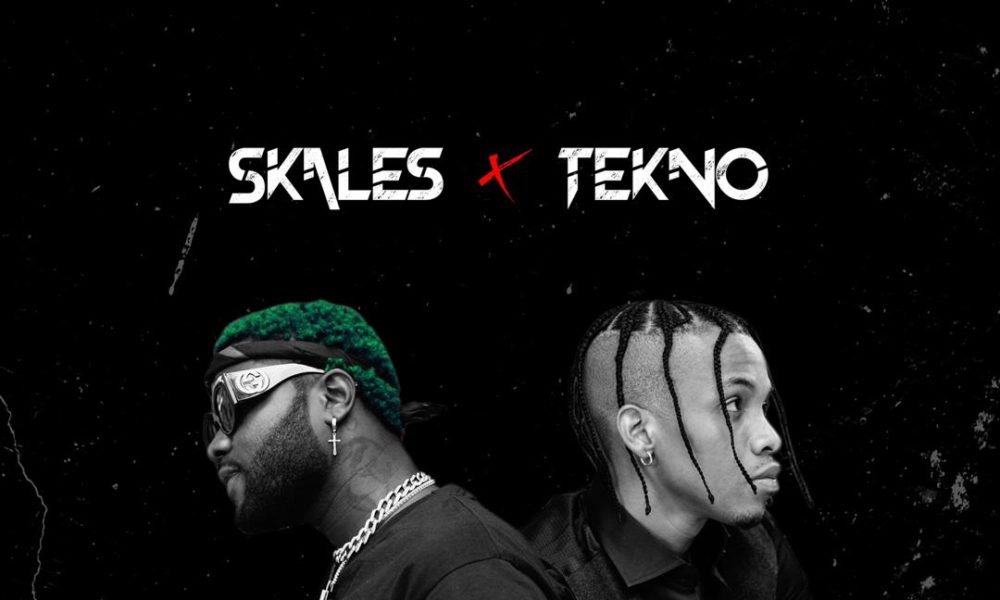 skales ft tekno