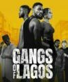 Adekusibe Ogunmokun: With "Gangs of Lagos," Nollywood is Creating World-Class Films - Vimarsana News