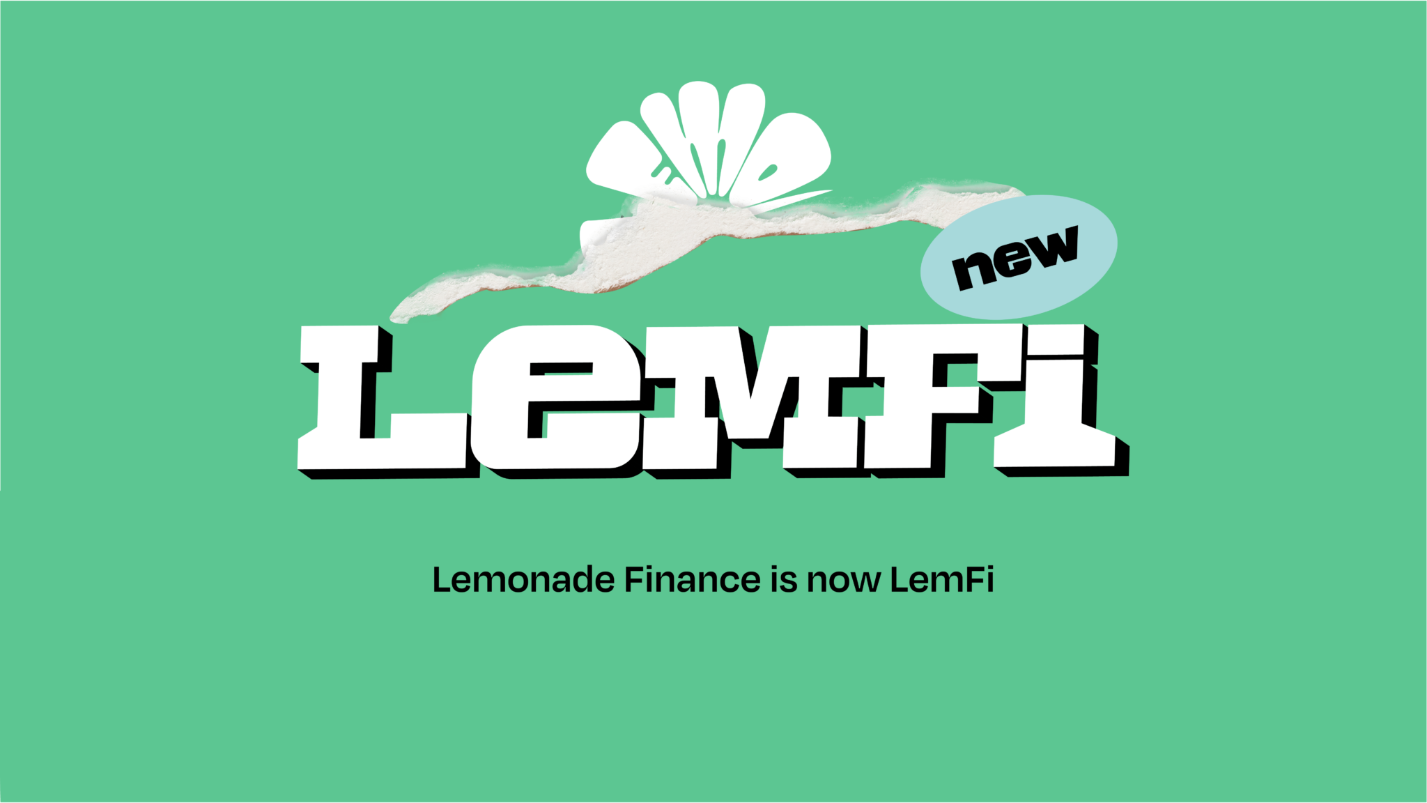 Empowering the World with Universal Payment Solutions Lemonade Finance