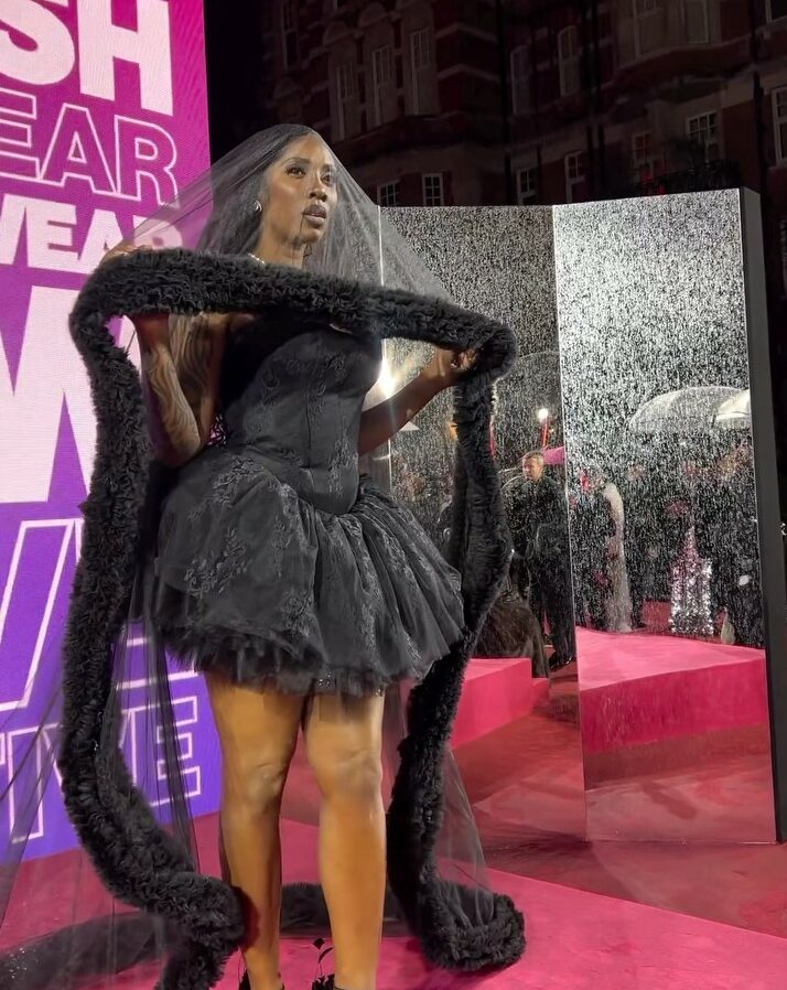 Tiwa Savage, Skepta, Portable & More Celebrity Looks at the 2023 British Fashion Awards - Vimarsana News