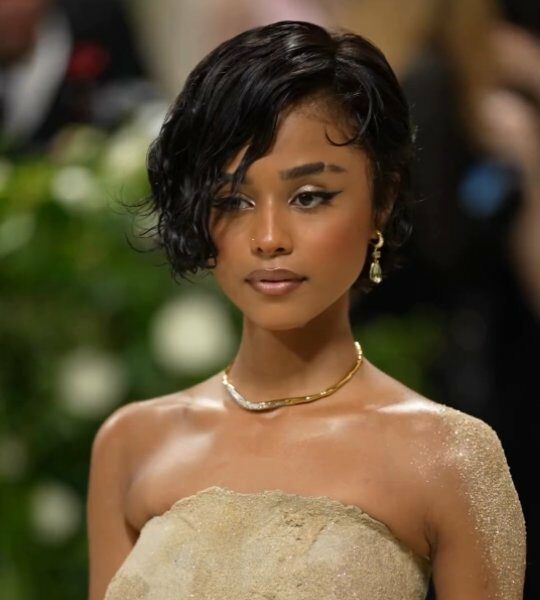 ART: Tyla Looks 'Fresh Out of the Gallery' for Her Met Gala Debut in a