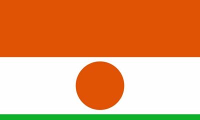 Niger flag