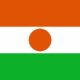 Niger flag