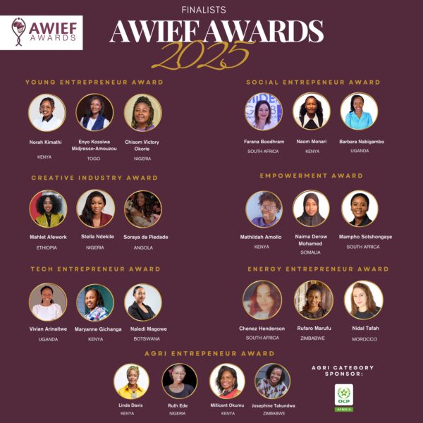 Finalists Unveiled for the 2025 AWIEF Awards