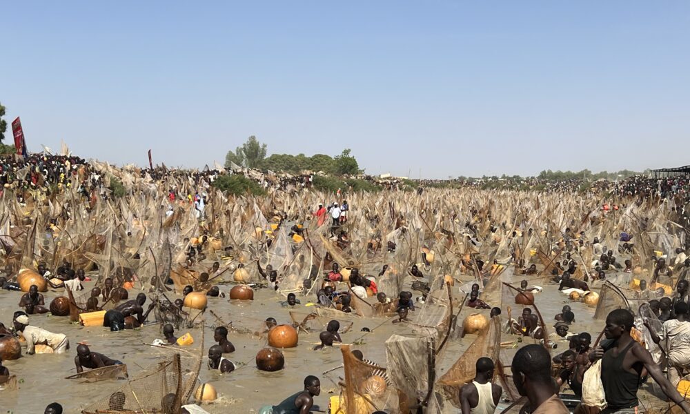 Why Everyone Is Talking About The Argungu Festival