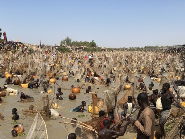 Why Everyone Is Talking About The Argungu Festival