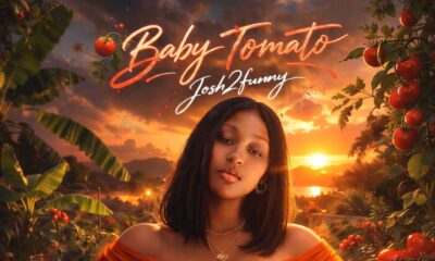 Official cover art for Josh2Funny's 2026 single "Baby Tomato" featuring a woman in an orange dress against a sunset and tomato garden backdrop.