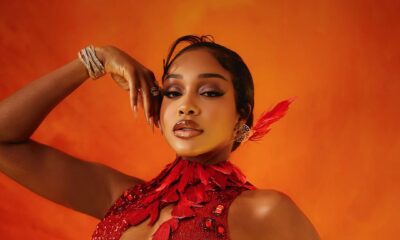Close-up of Uche Montana’s fire-inspired AMVCA 2026 look, highlighting the red-studded hand wraps and gold-tipped feathers.