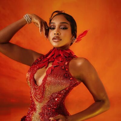 Close-up of Uche Montana’s fire-inspired AMVCA 2026 look, highlighting the red-studded hand wraps and gold-tipped feathers.