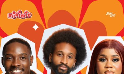 BBNaija Season 11 Week 8 recap graphic sponsored by Minimie.